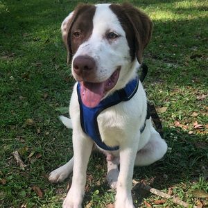 Meet your Posher, Krystal